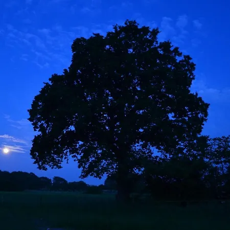 Brakkerhus Maison d'hôtes